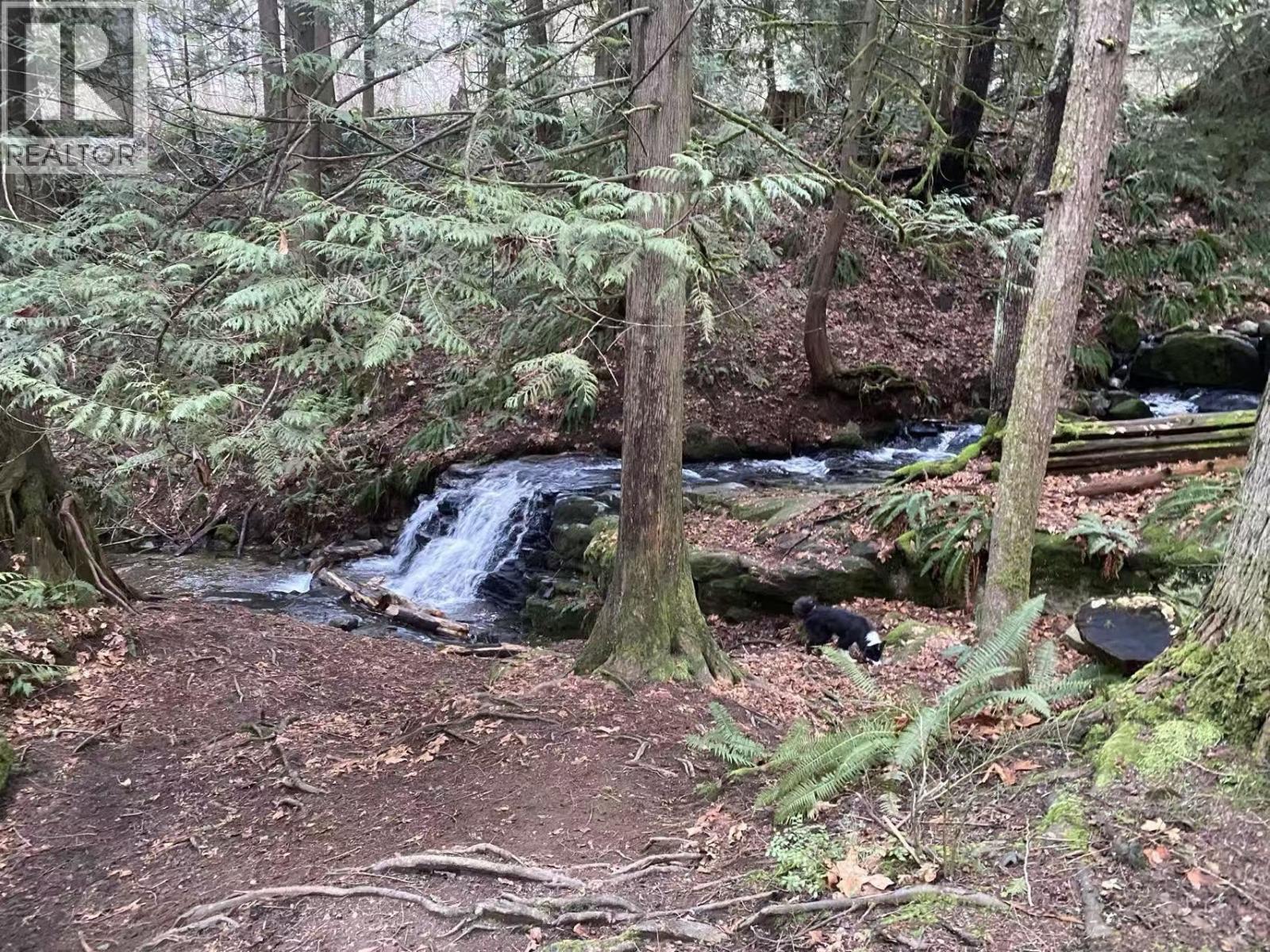 14119 230 Street, Maple Ridge, British Columbia  V4R 0G9 - Photo 32 - R3104902