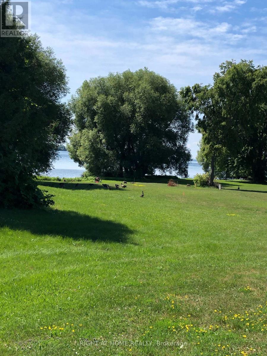 3786 Tuppy Drive, Ramara, Ontario  L0K 1B0 - Photo 5 - S12993536