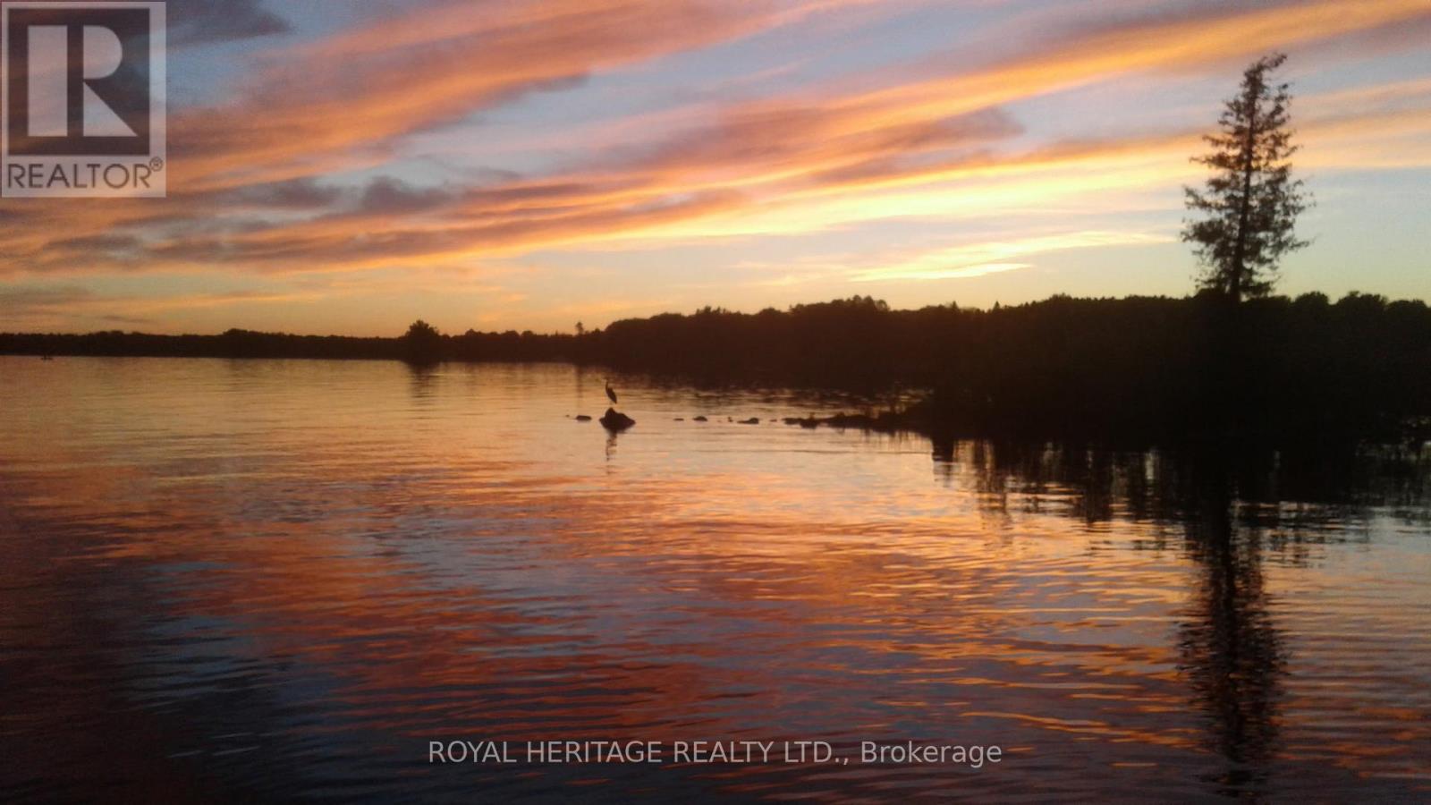 205 Pirates Glen Drive, Trent Lakes, Ontario  K0M 1A0 - Photo 37 - X12905606