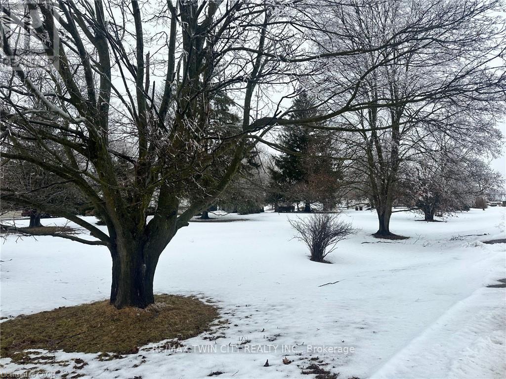 303b Highway 5 Highway, Brant, Ontario N0B 1E0 - Photo 2 - X12993598