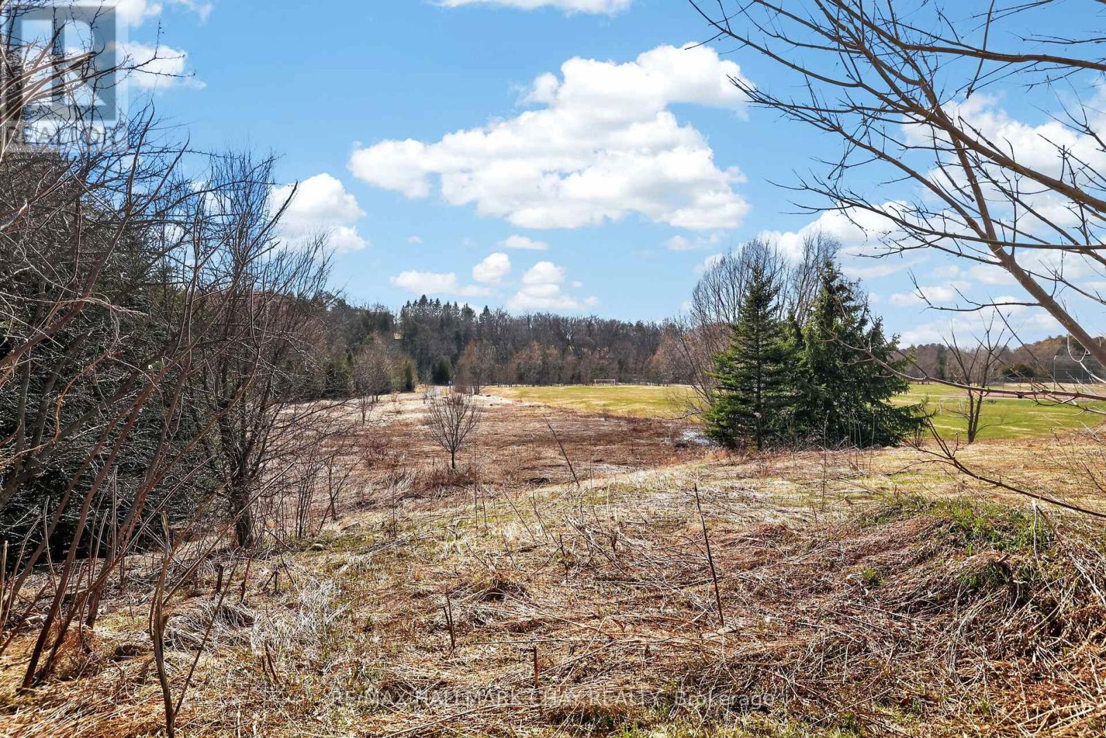 91 Hammill Heights, East Gwillimbury (Mt Albert), Ontario L0G 1M0 - Photo 34 - N12991874