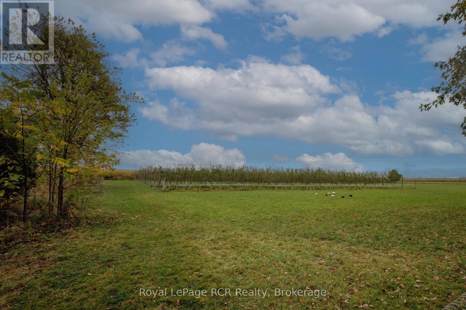 8220 Line 8, Wellington North, Ontario  N0G 2E0 - Photo 33 - X12993744