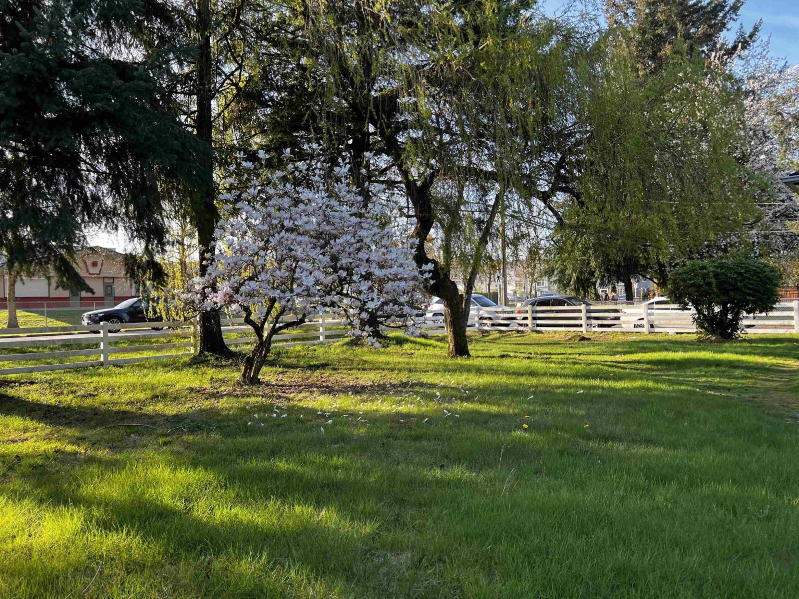 9894 156 Street, Surrey, British Columbia V3R 4L3 - Photo 2 - R3107545