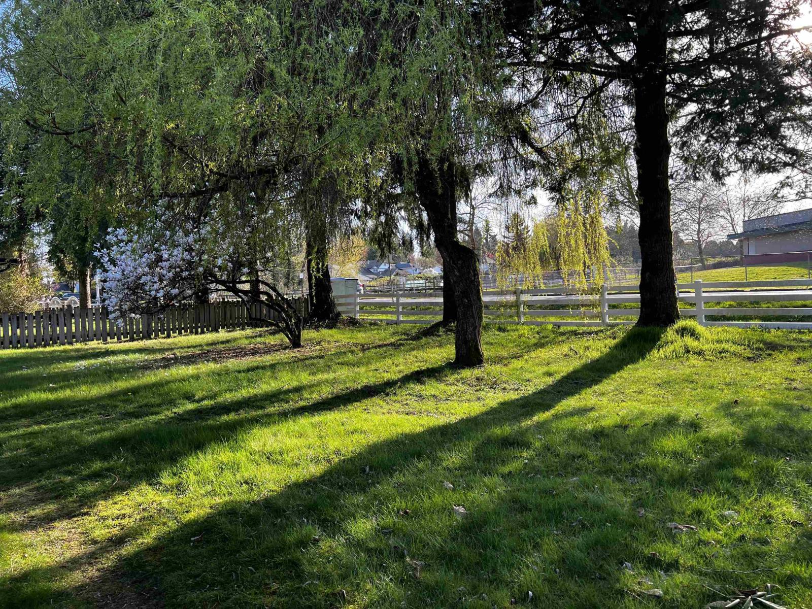 9894 156 Street, Surrey, British Columbia V3R 4L3 - Photo 24 - R3107545