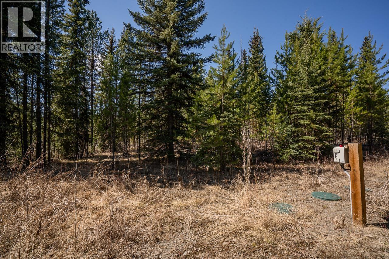 6301 Archie Meadow Road, Forest Grove, British Columbia  V0K 1M0 - Photo 13 - R3106936