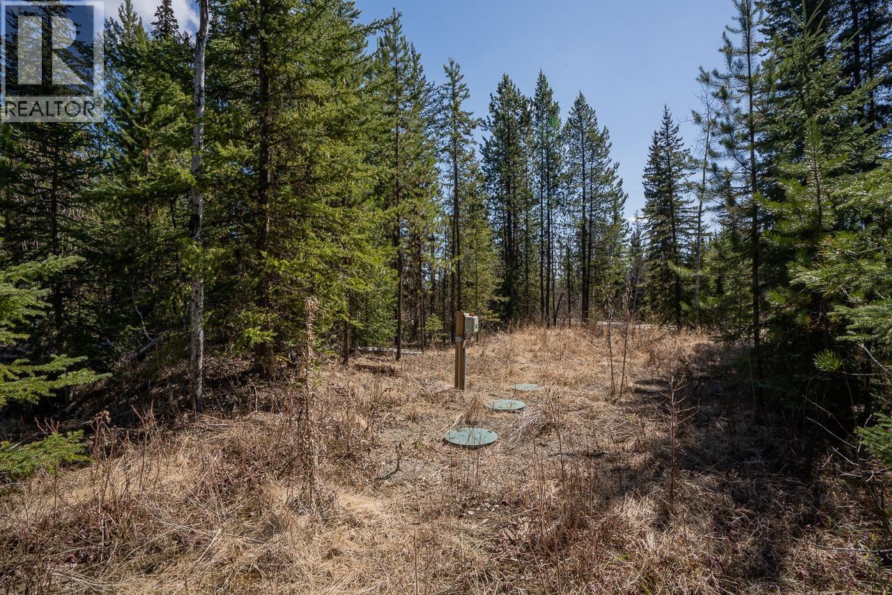 6301 Archie Meadow Road, Forest Grove, British Columbia  V0K 1M0 - Photo 10 - R3106936