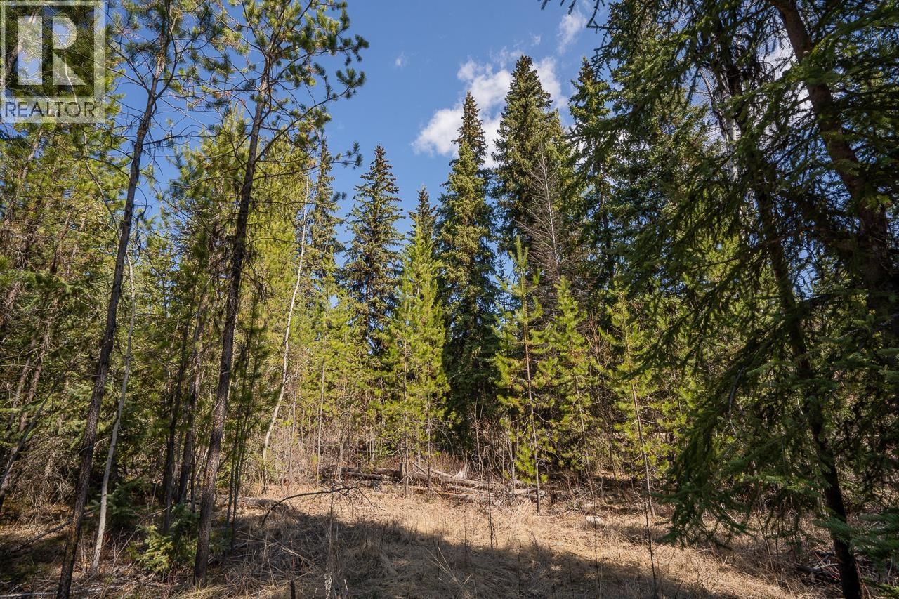 6301 Archie Meadow Road, Forest Grove, British Columbia  V0K 1M0 - Photo 11 - R3106936