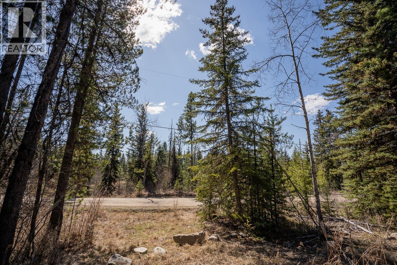 6301 Archie Meadow Road, Forest Grove, British Columbia  V0K 1M0 - Photo 12 - R3106936