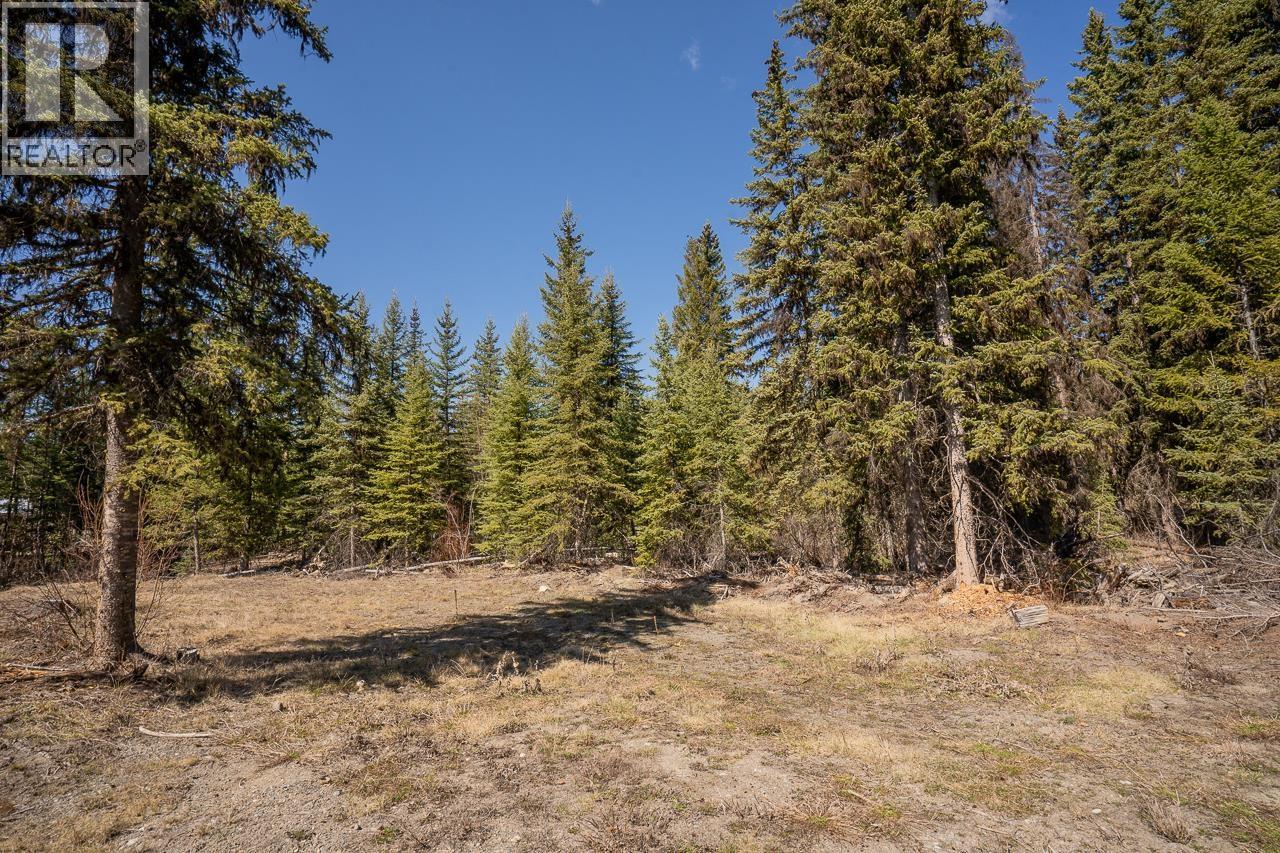 6301 Archie Meadow Road, Forest Grove, British Columbia  V0K 1M0 - Photo 3 - R3106936