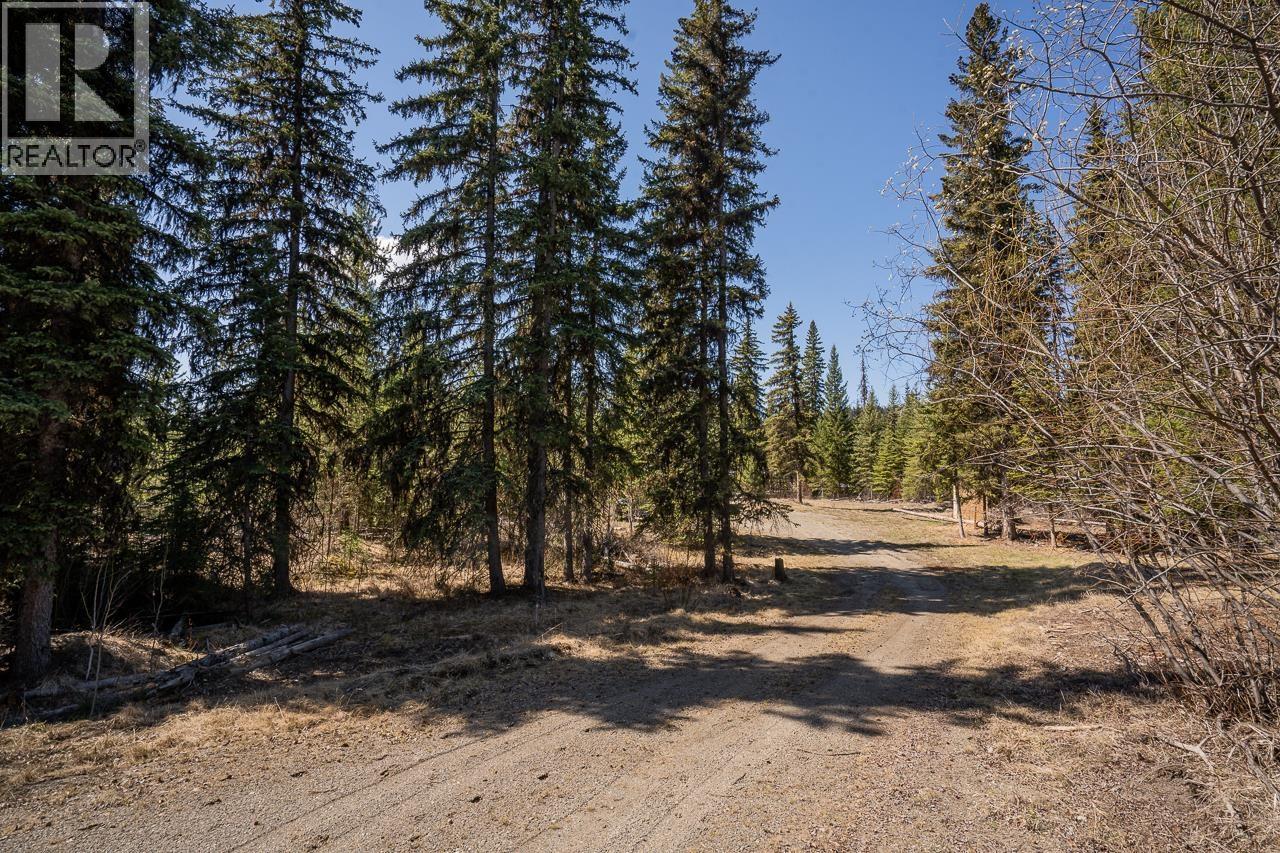 6301 Archie Meadow Road, Forest Grove, British Columbia  V0K 1M0 - Photo 4 - R3106936