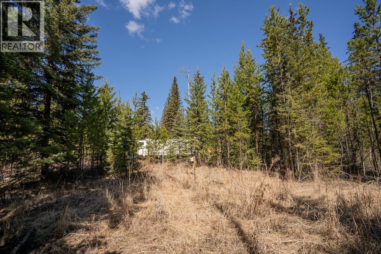 6301 Archie Meadow Road, Forest Grove, British Columbia  V0K 1M0 - Photo 5 - R3106936