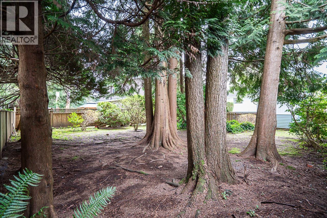 1634 Ross Road, North Vancouver, British Columbia  V7J 1V4 - Photo 36 - R3110908