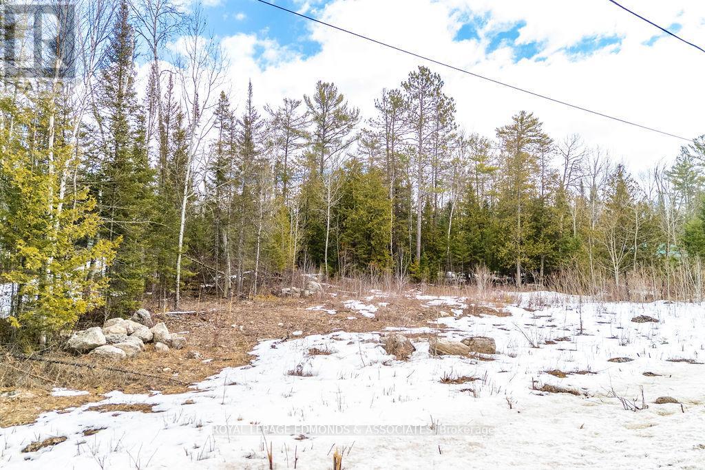 00 Rapid Road, Whitewater Region, Ontario K0J 2L0 - Photo 7 - X12993818