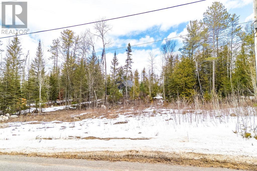 00 Rapid Road, Whitewater Region, Ontario K0J 2L0 - Photo 8 - X12993818