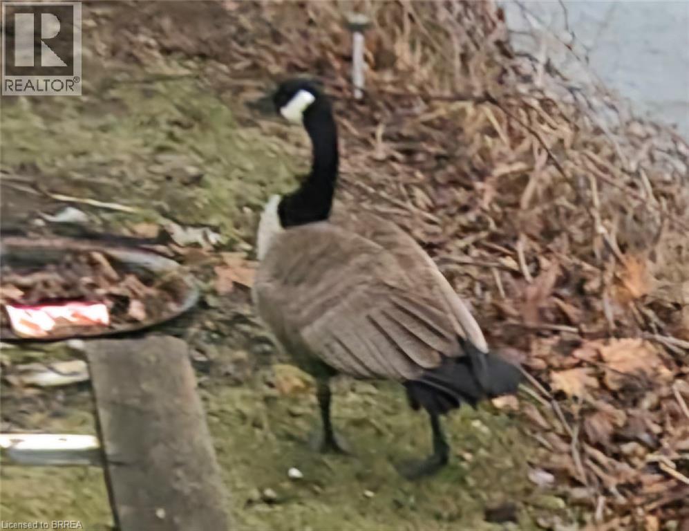 26 Willow Street, Paris, Ontario  N3L 2K6 - Photo 50 - 40820473