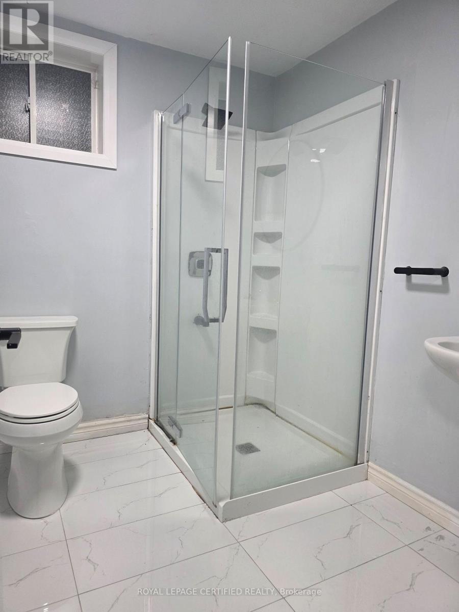 Basement - 100 Chase Crescent, Cambridge, Ontario  N3C 0C5 - Photo 13 - X12976042