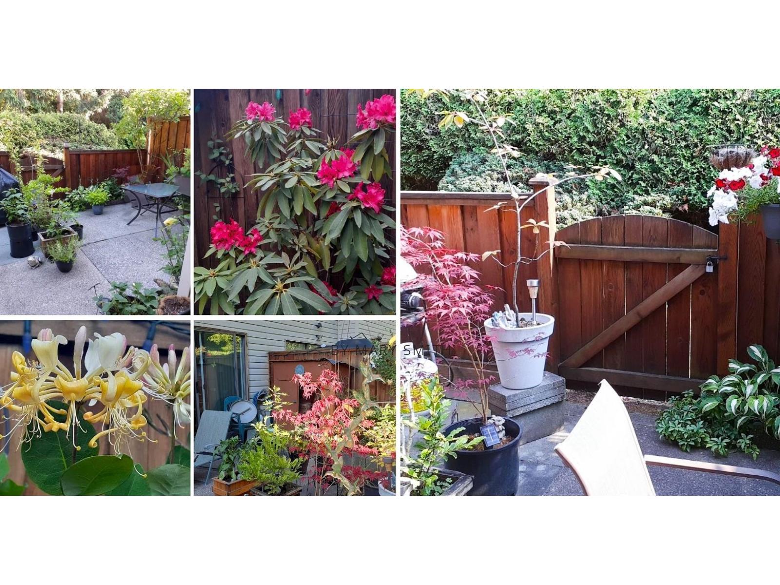 139 13880 74 Avenue, Surrey, British Columbia V3W 7E6 - Photo 16 - R3110212