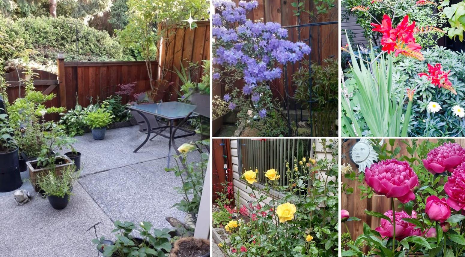 139 13880 74 Avenue, Surrey, British Columbia V3W 7E6 - Photo 30 - R3110212