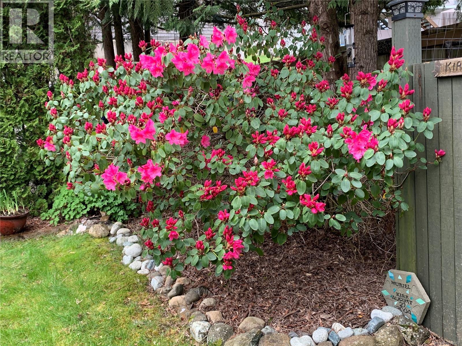 4201 Kendall Ave, Port Alberni, British Columbia  V9Y 5H9 - Photo 4 - 1030987