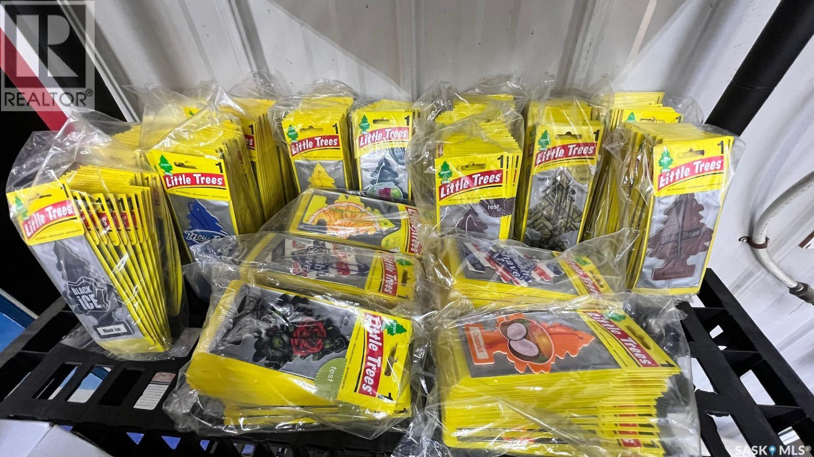 353 100a Street, Tisdale, Saskatchewan  S0E 1T0 - Photo 28 - SK032442