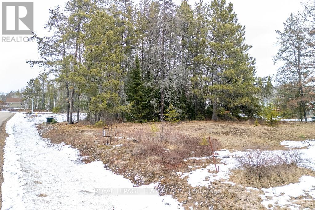 18 Birchview Drive, Madawaska Valley, Ontario K0J 1B0 - Photo 2 - X12994024