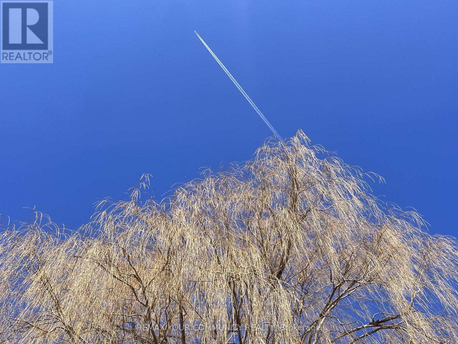 44 Canal Street, Georgina, Ontario  L4P 1K5 - Photo 50 - N12994058