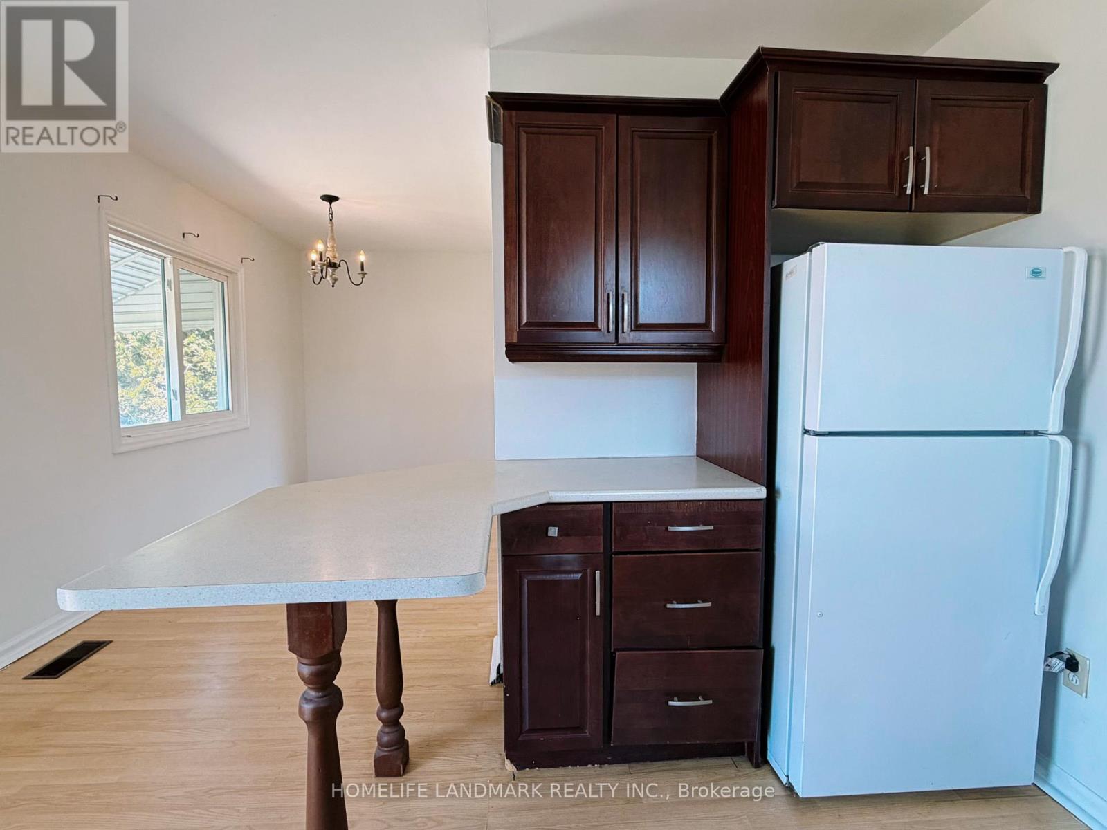 392 Elmwood Avenue, Richmond Hill, Ontario  L4C 1M3 - Photo 6 - N12994084