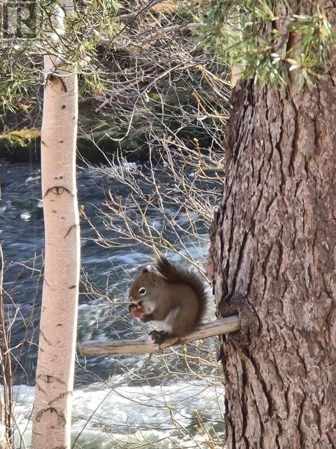 227 Waterford Bridge Road, St. John's, Newfoundland & Labrador  A1E 1E4 - Photo 23 - 1295915