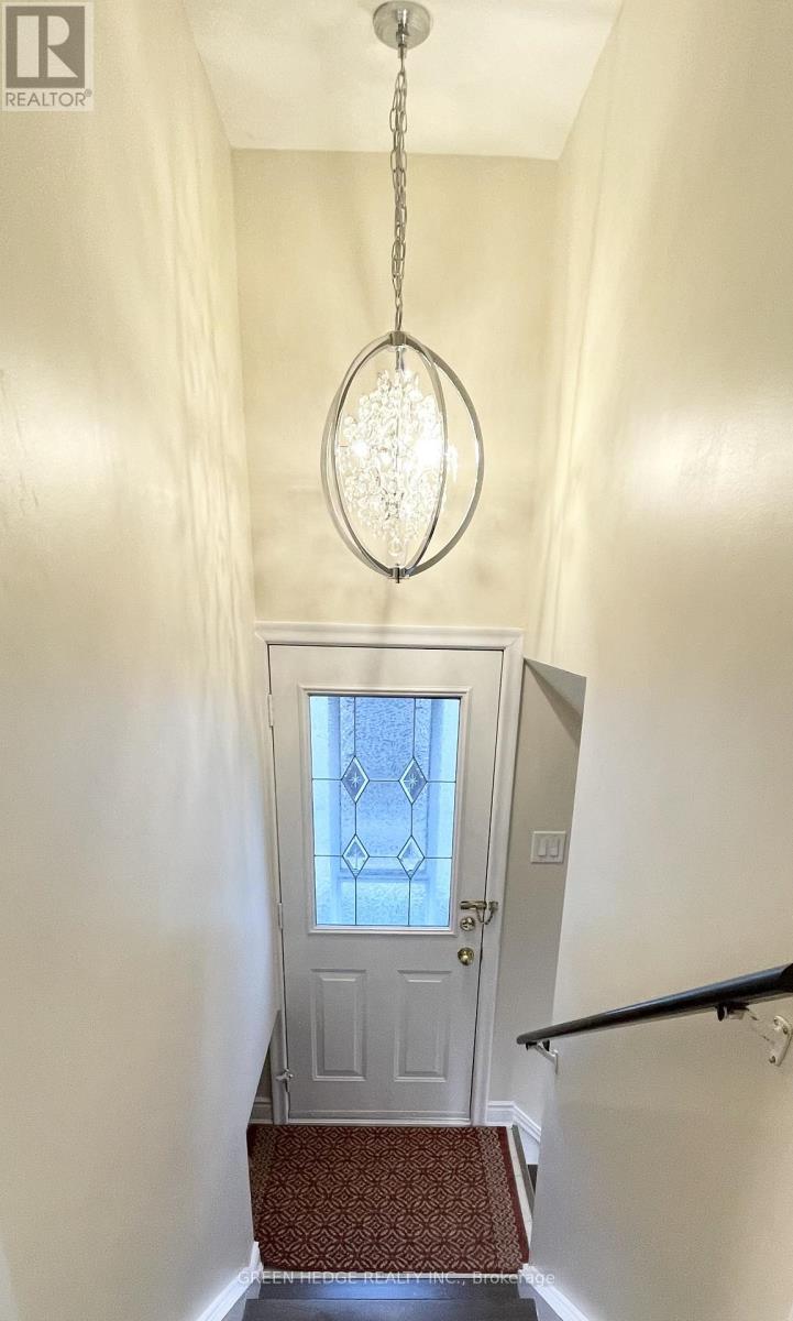 Lower Level - 30 Tapley Drive, Toronto, Ontario  M9R 3P4 - Photo 2 - W12994222