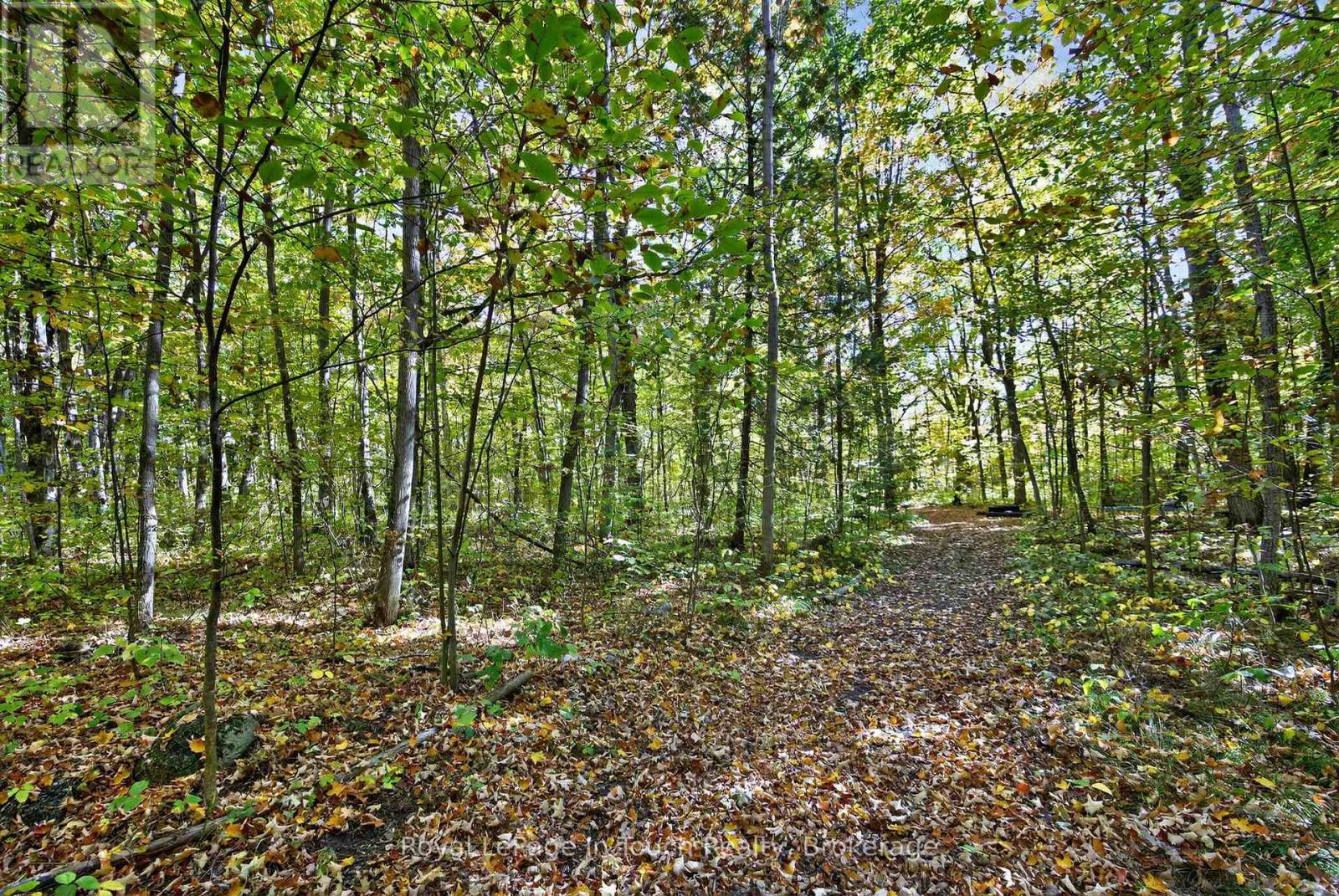 62 Tanners Road, Tay, Ontario  L0K 2C0 - Photo 40 - S12475311