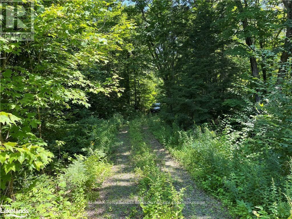 1035b 520 Highway N, Whitestone, Ontario  P0A 1G0 - Photo 10 - X12994398