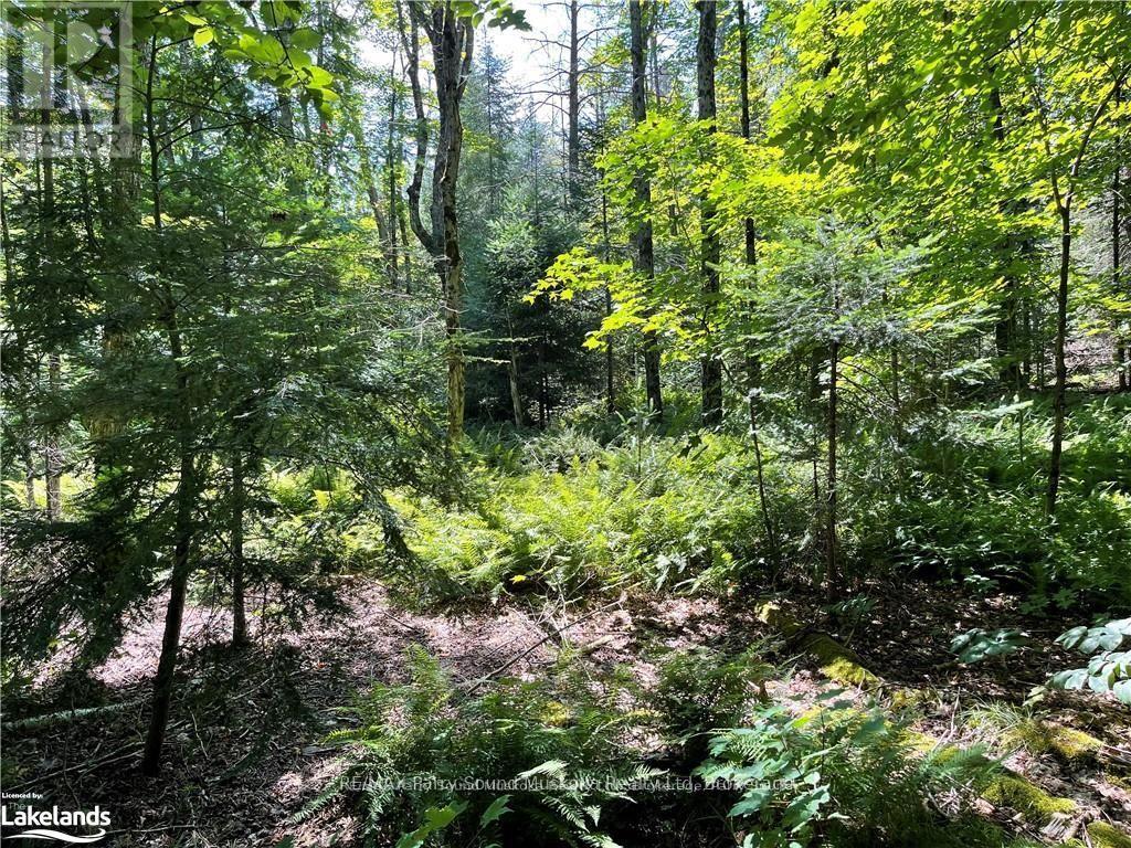 1035b 520 Highway N, Whitestone, Ontario  P0A 1G0 - Photo 11 - X12994398