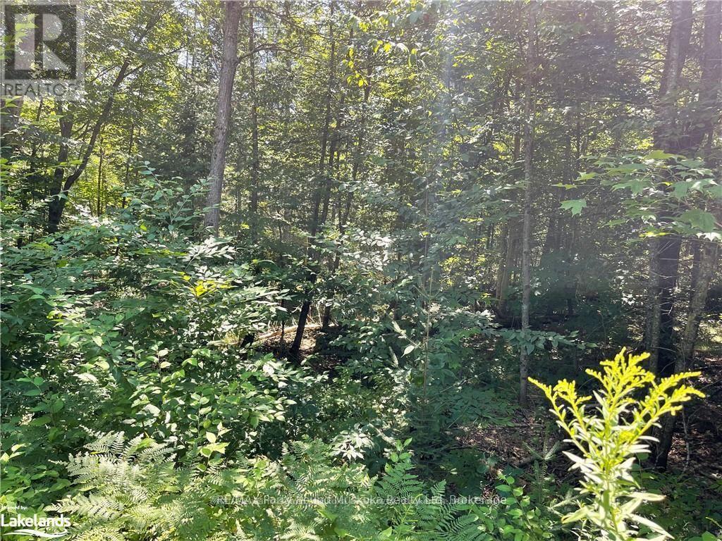 1035b 520 Highway N, Whitestone, Ontario  P0A 1G0 - Photo 12 - X12994398