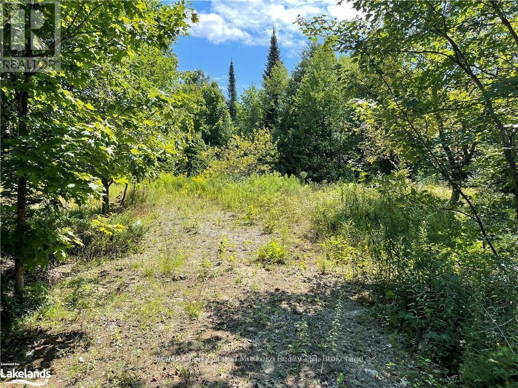 1035b 520 Highway N, Whitestone, Ontario  P0A 1G0 - Photo 13 - X12994398