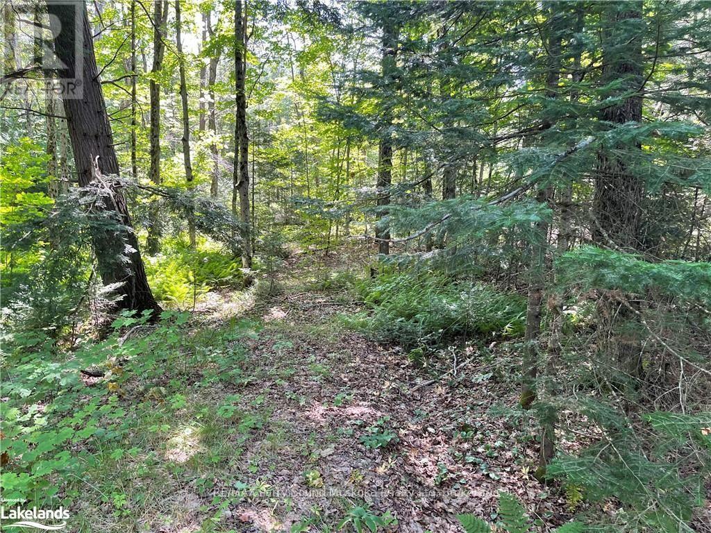 1035b 520 Highway N, Whitestone, Ontario  P0A 1G0 - Photo 14 - X12994398