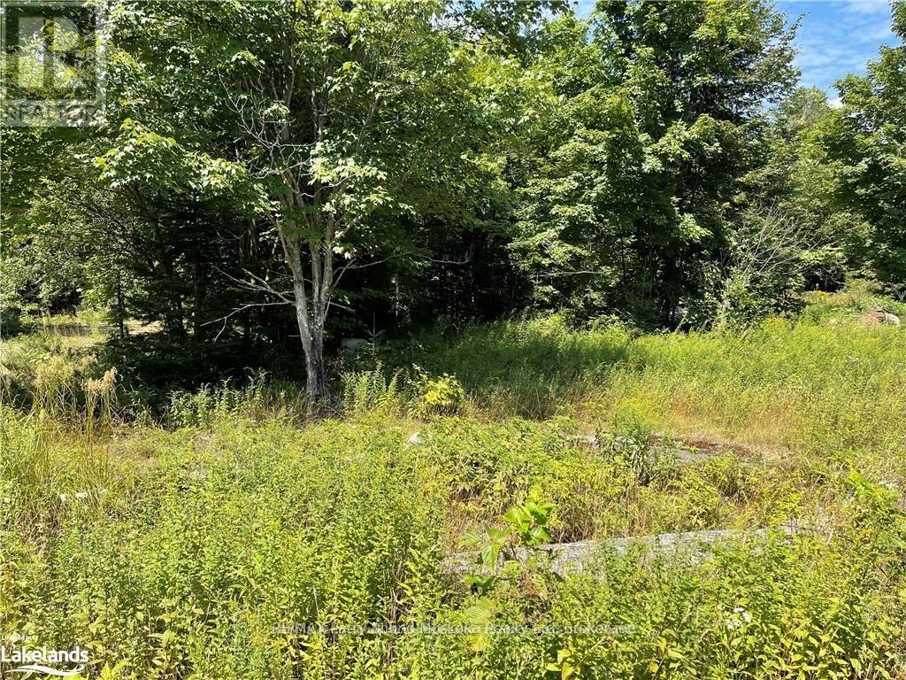 1035b 520 Highway N, Whitestone, Ontario  P0A 1G0 - Photo 4 - X12994398