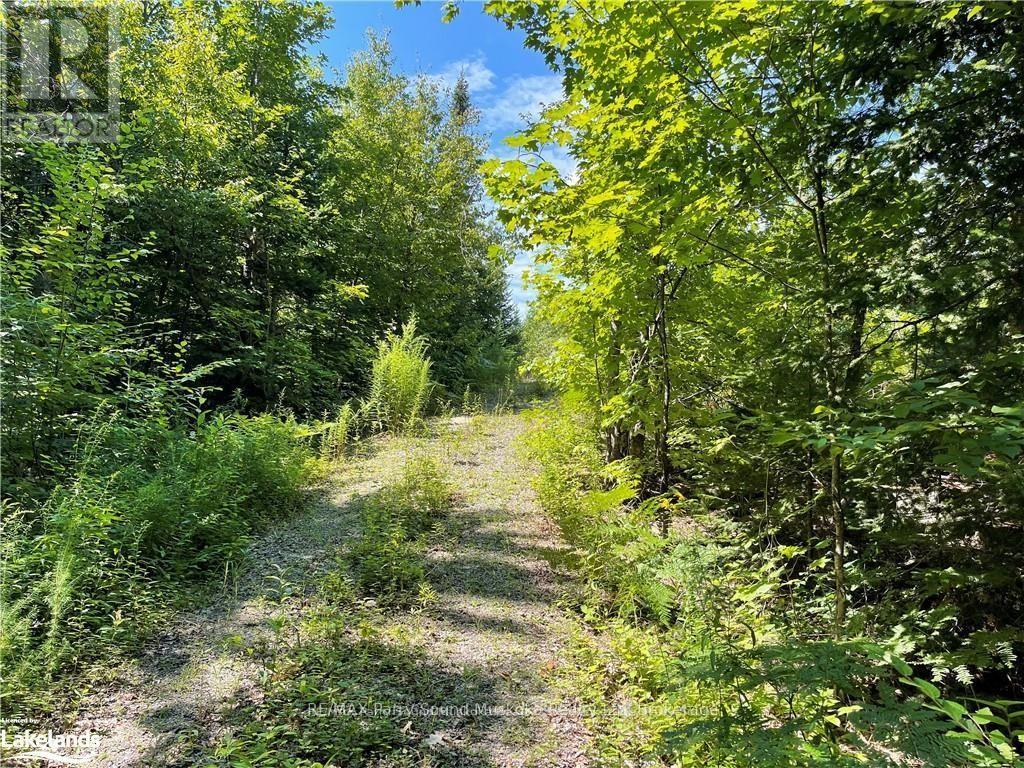 1035b 520 Highway N, Whitestone, Ontario  P0A 1G0 - Photo 5 - X12994398