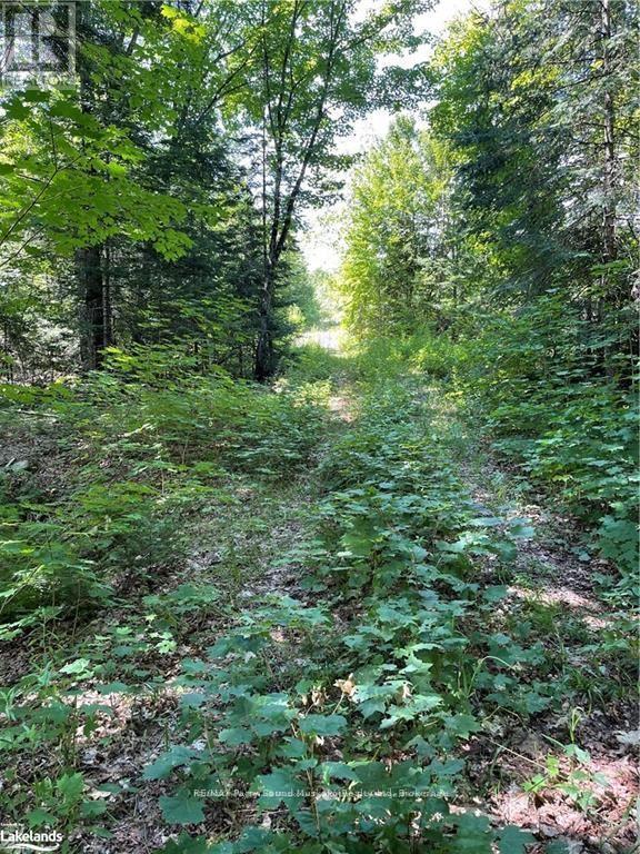 1035b 520 Highway N, Whitestone, Ontario  P0A 1G0 - Photo 6 - X12994398