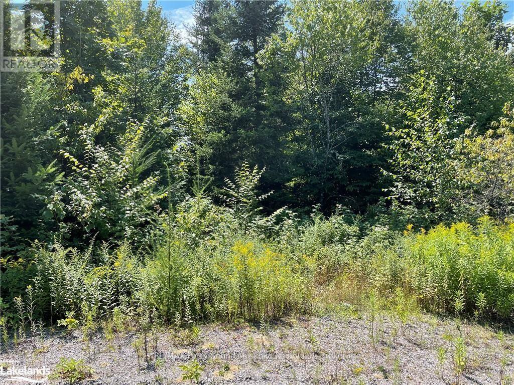 1035b 520 Highway N, Whitestone, Ontario  P0A 1G0 - Photo 7 - X12994398