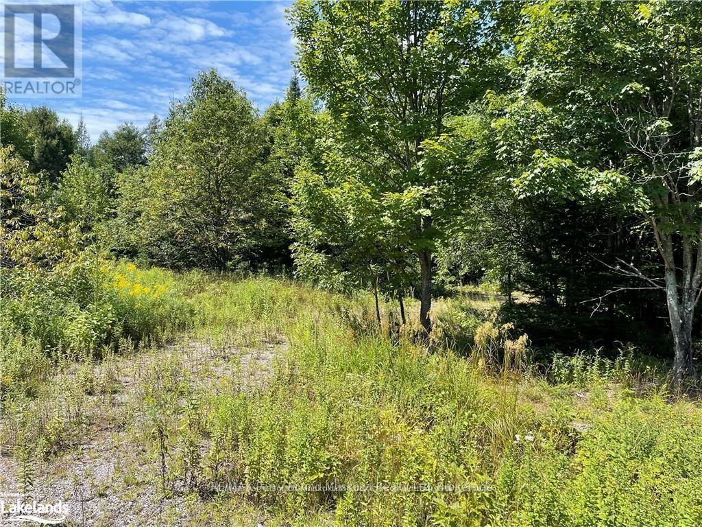 1035b 520 Highway N, Whitestone, Ontario  P0A 1G0 - Photo 8 - X12994398