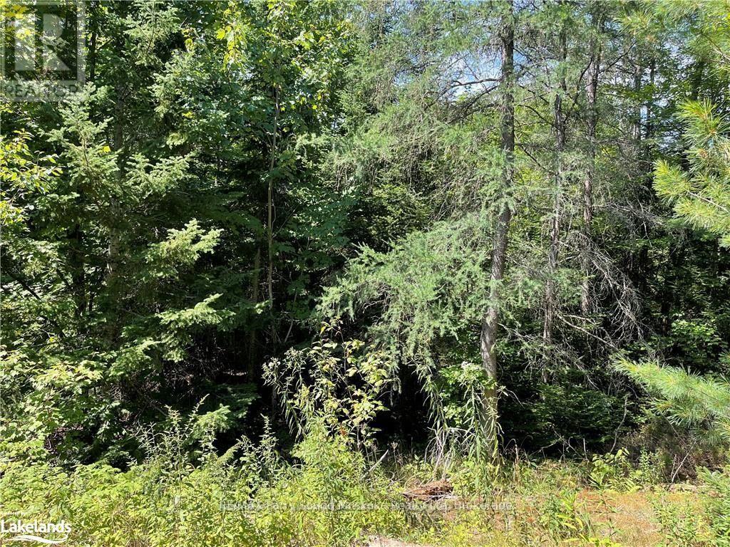 1035b 520 Highway N, Whitestone, Ontario  P0A 1G0 - Photo 9 - X12994398