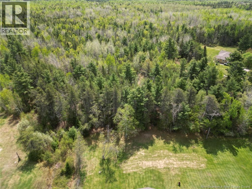 Lot 97-1 Des Pins, Saint-Charles, New Brunswick  E4W 4M1 - Photo 2 - NB137057