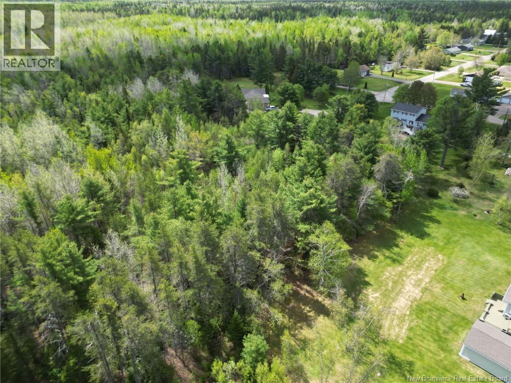 Lot 97-1 Des Pins, Saint-Charles, New Brunswick  E4W 4M1 - Photo 3 - NB137057