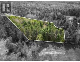 Lot 97-1 des Pins, Saint-Charles, New Brunswick
