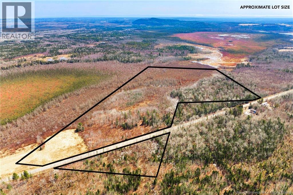 00 Route 636, Harvey, New Brunswick  O0O 0O0 - Photo 1 - NB136938