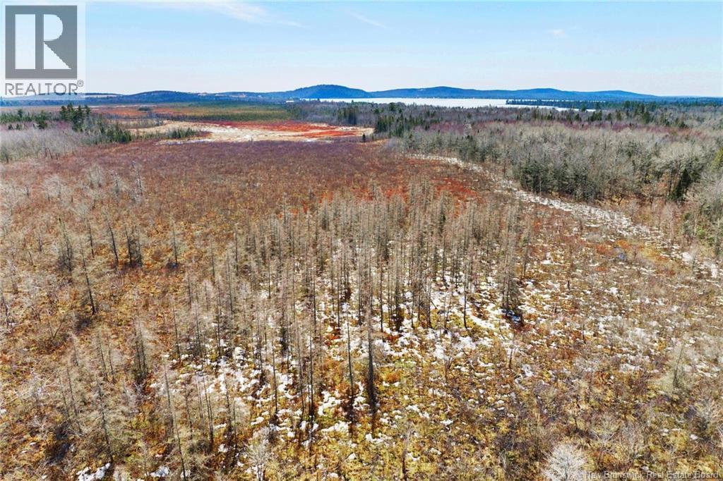 00 Route 636, Harvey, New Brunswick  O0O 0O0 - Photo 10 - NB136938