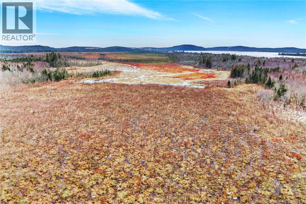 00 Route 636, Harvey, New Brunswick  O0O 0O0 - Photo 11 - NB136938