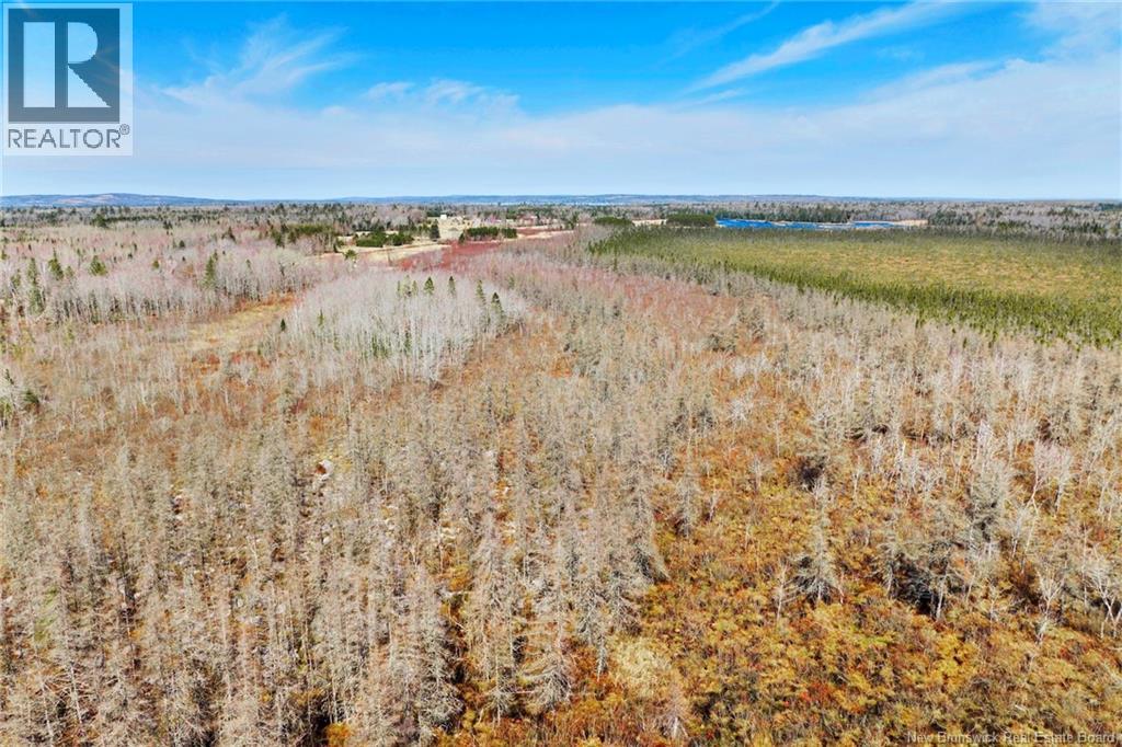 00 Route 636, Harvey, New Brunswick  O0O 0O0 - Photo 12 - NB136938