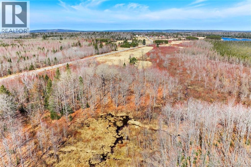 00 Route 636, Harvey, New Brunswick  O0O 0O0 - Photo 13 - NB136938