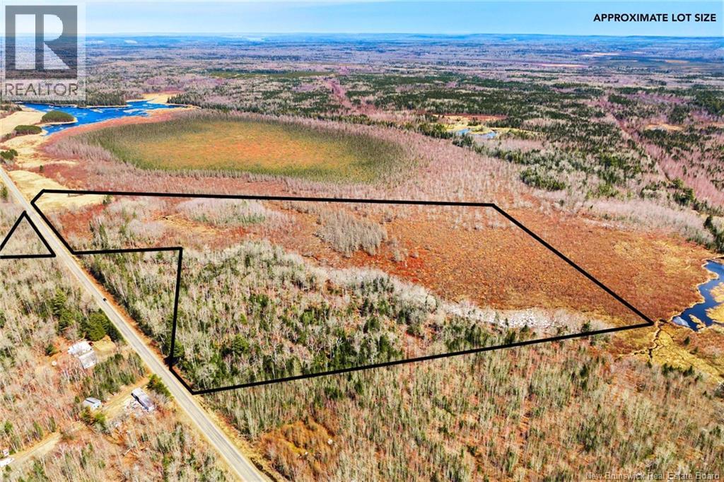 00 Route 636, Harvey, New Brunswick  O0O 0O0 - Photo 4 - NB136938